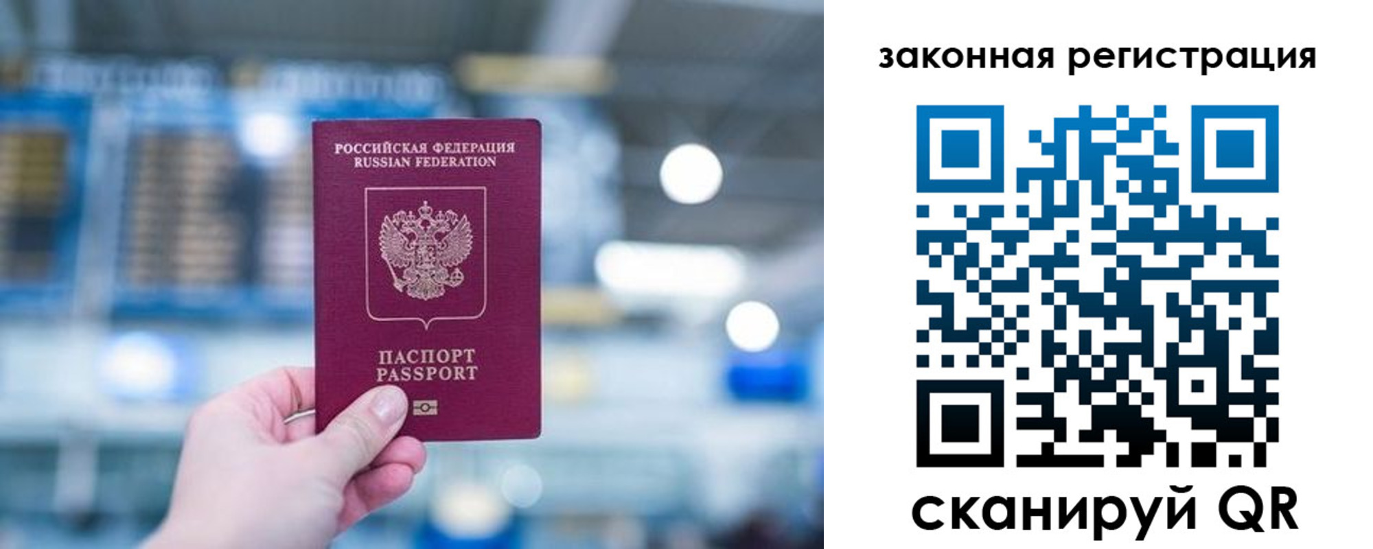 прописка поиск в Ардоне